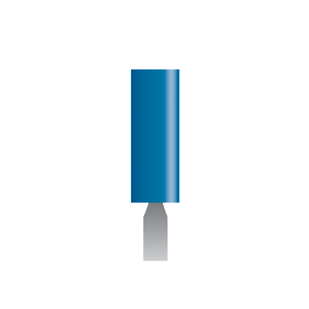 W154 Blue Mounted Points 1/8" Shank (Pkg of 24)