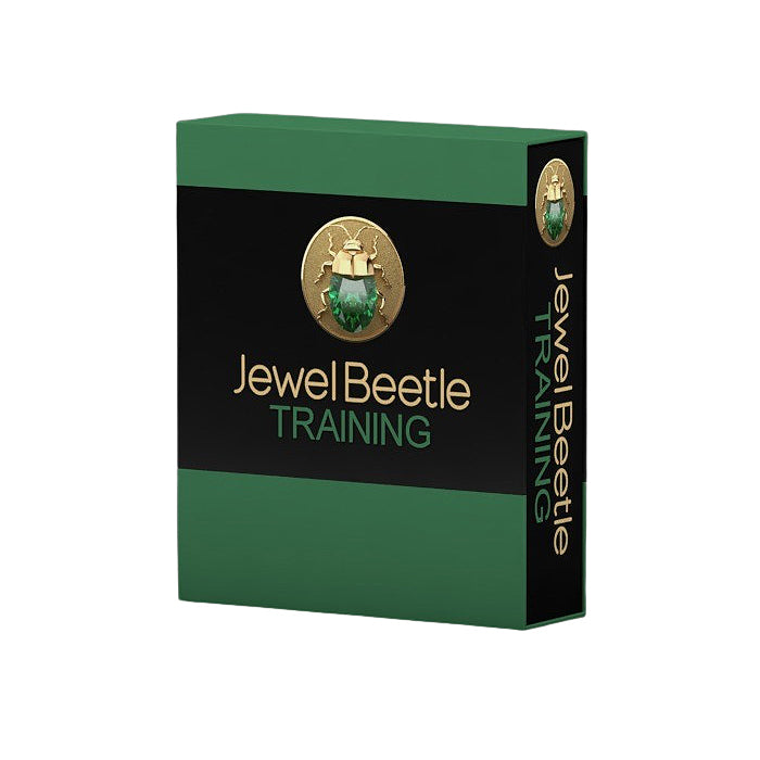 JewelBeetle V.1 Beginner Training Class
