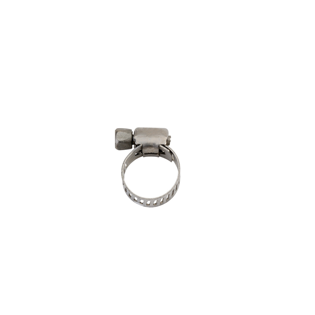 Worm Drive Clamp only