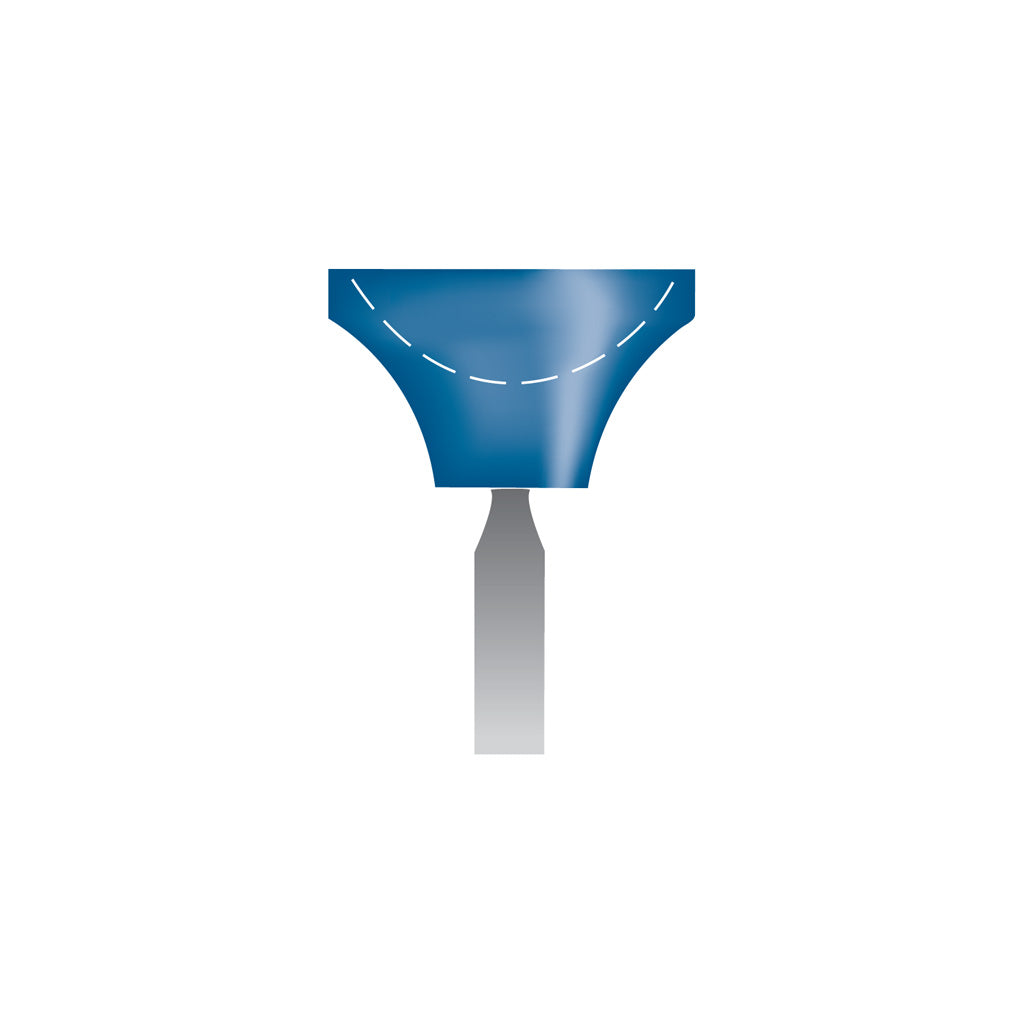 Blue Mounted Points, 1/8" Shank - B82, Box of 12