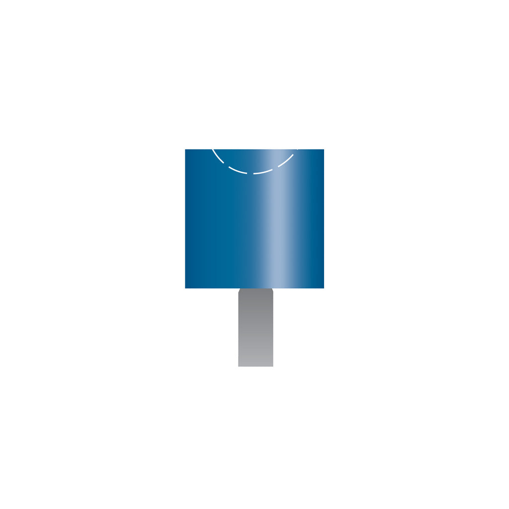 Blue Mounted Points, 1/8" Shank - B133, Box of 12