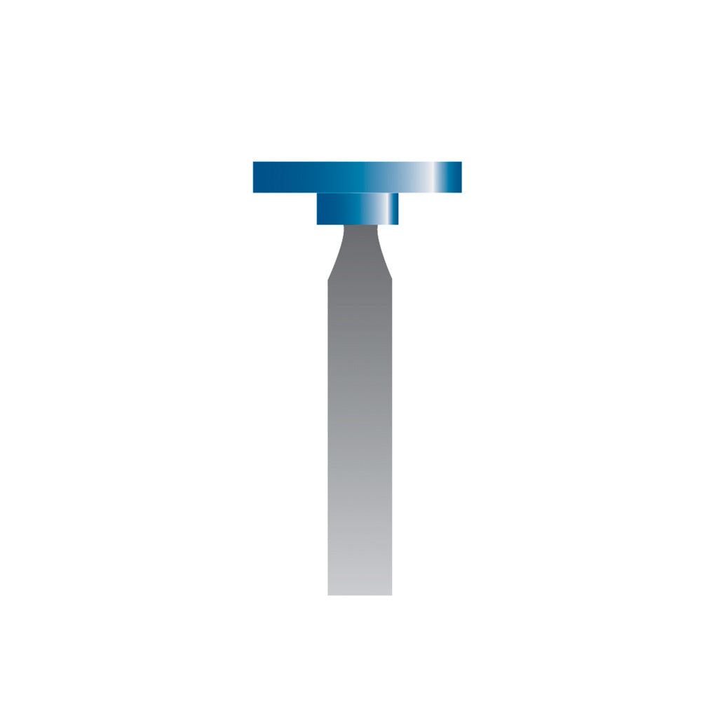 W165 Blue Mounted Points 3mm Shank (Pkg of 24)