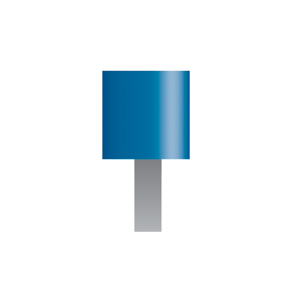 W168 Blue Mounted Points 1/8" Shank (Pkg of 24)