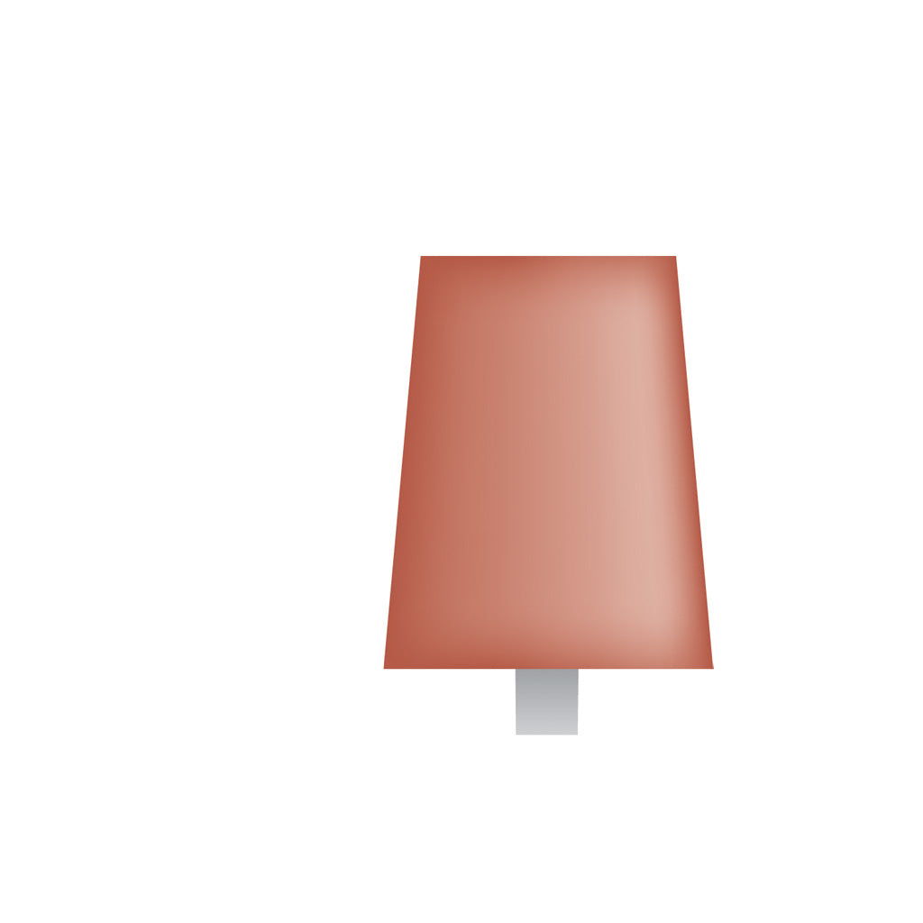 B91 Red Mounted Points 1/8" Shank (Pkg of 24)
