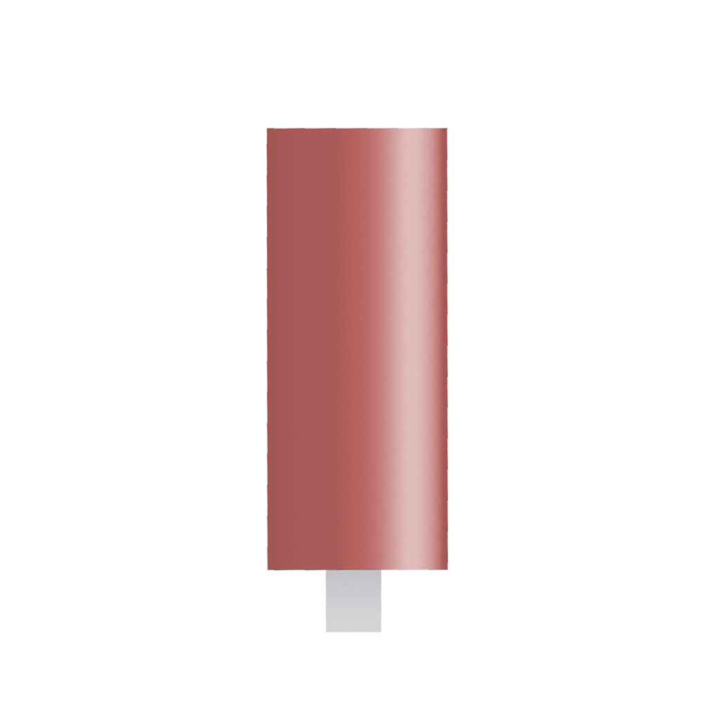 Red Mounted Points, 1/8" Shank - W171, Box of 12