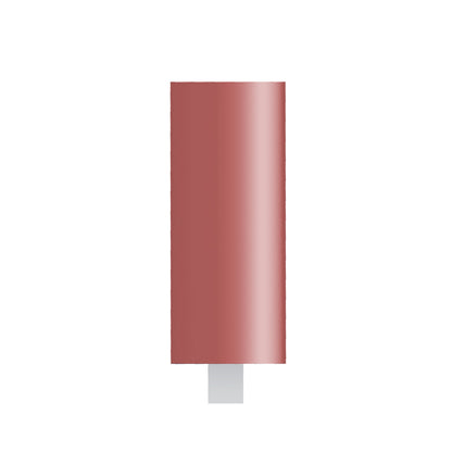 Red Mounted Points, 1/8" Shank - W171, Box of 12