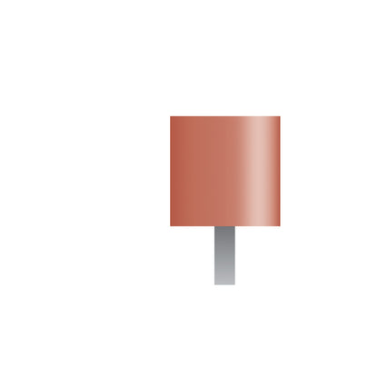 W185 Red Mounted Points 1/8" Shank (Pkg of 24)