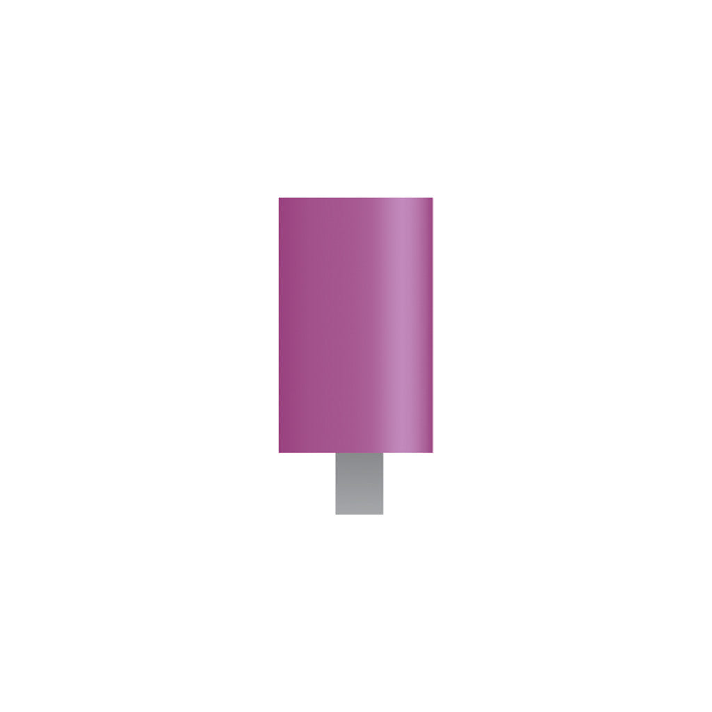 W170 Purple Mounted Points 1/8" Shank (Pkg of 24)