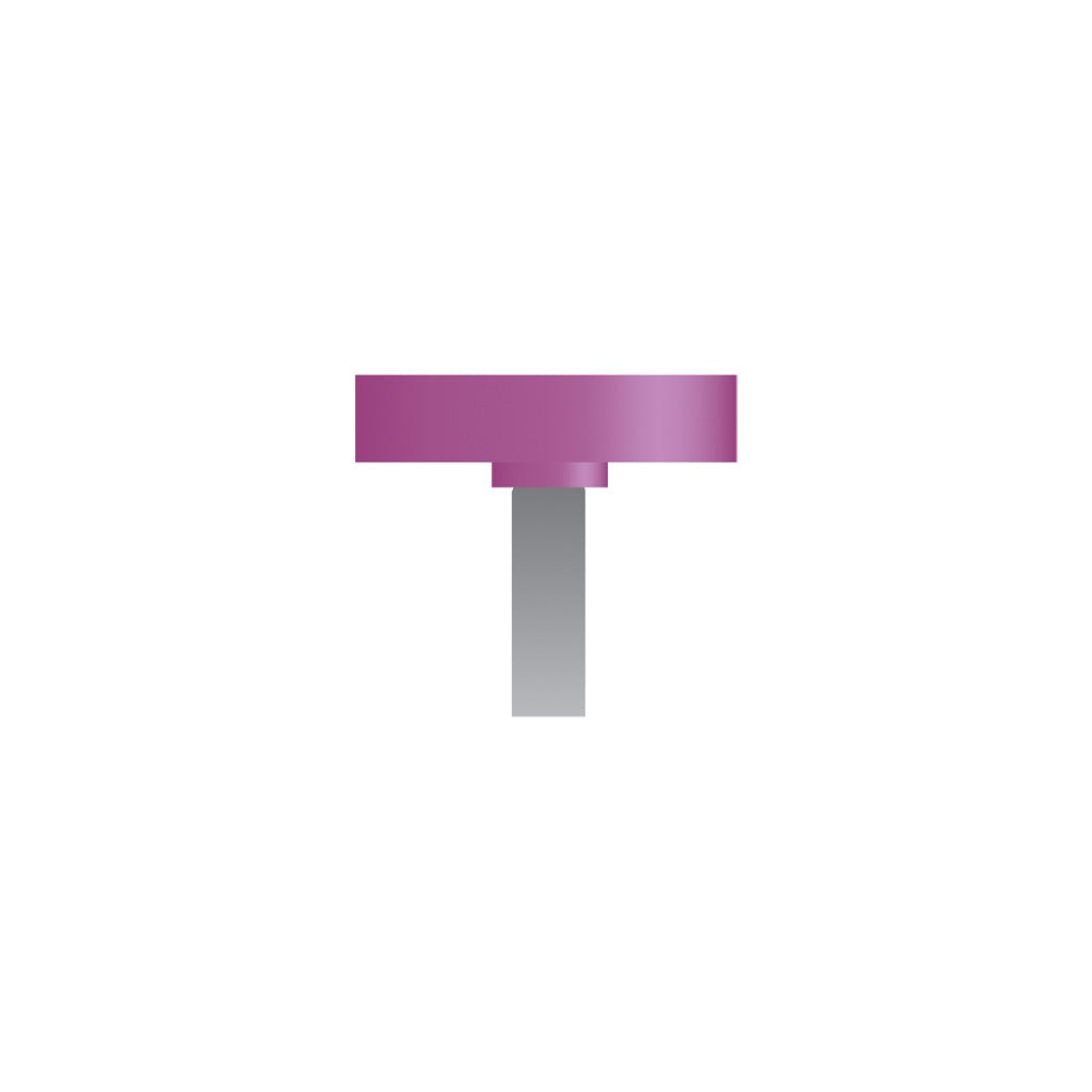 W182 Purple Mounted Points 1/8" Shank (Pkg of 24)