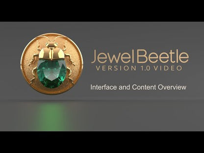 JewelBeetle V.1 Beginner Training Class